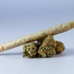 Законодательство о конопле в России и Украине img-188.jpg