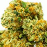 Спайсы и синтетические cannabinoidы риски и последствия употребления img-2159.jpg