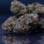 Купить шишки марихуаны онлайн в России img-2227.jpg