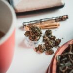 Конопля сорта Dream Berry феминизированная характеристики и выращивание img-2422.jpg