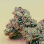 Семена марихуаны в Москве свойства и приобретение img-2438.jpg