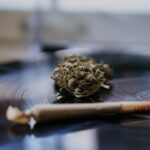 Конопля в Казахстане свойства и перспективы выращивания img-2533.jpg