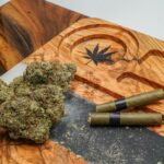 Гидропонное выращивание марихуаны в домашних условиях img-2608.jpg