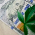 Семена конопли самарская область: свойства и параметры, где купить и цены в Самаре img-266.jpg