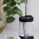 Семена конопли Dance World CBD Feminised от Royal Queen Seeds img-3290.jpg